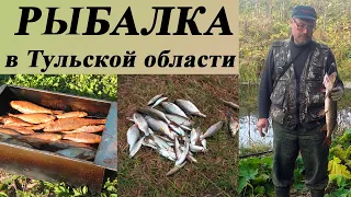 99. Рыбалка по прудам и малым рекам Тульской области сезон 2020
