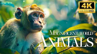 Magnificent World Animals 4K 🐒Discovering the Majestic and Mischievous of Wildlife with Relax Music