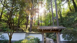 [ASMR] Japanese Garden in the RAIN - Portland, Oregon | Silent, Relaxing Walkthrough 2022