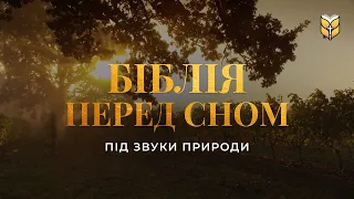 БІБЛІЯ ПЕРЕД СНОМ - Вечір Під Звуки Природи | 🔴 Live