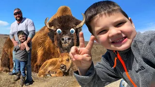 Caleb GOES on OUTDOOR ADVENTURE w/ Mom, DAD & Aubrey! We find BUFFALO, Eat Ice Cream & Play outside!