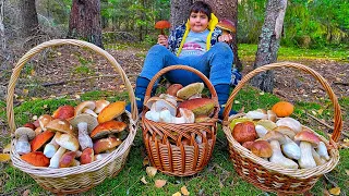 ГРИБНИКИ ОШАРАШЕНЫ! В ЭТОМ ЛЕСУ ПОЛНО ГРИБОВ! БЕЛЫЕ ГРИБЫ и ПОДОСИНОВИКИ ПОЛЯНАМИ В ОКТЯБРЕ 2022