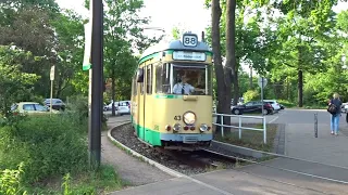 These Are the Most Beautiful/Epic Trams in the World (Top 10 Cities With the Most Pretty/Epic Trams)