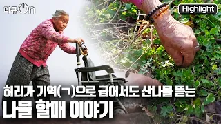 [다큐온] 경남 함안 골짜기를 억척스럽게 누비는 98세 산나물 할머니 | "나물 할매 오두심" (KBS 20220506 방송)