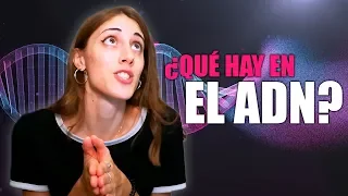 El ADN EXPLICADO | La Hiperactina