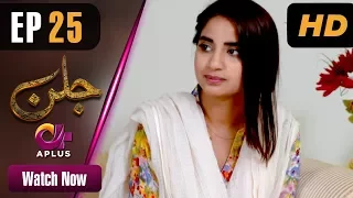 Drama | Jallan - EP 25 | Aplus ᴴᴰ Dramas | Saboor Ali, Imran Aslam, Waseem Abbas | C1D1