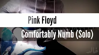 Pink Floyd - Comfortably Numb (Solo)