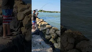 Live Shrimp Fishing For Snapper in South Florida! Jupiter Inlet Surf Fishing Pompano Snook