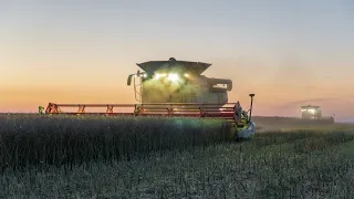 žně 2022 AG Maiwald | 4x Claas lexion TT 780, 2x 770, 760