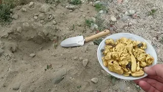 I FOUND GOLD! Dug up Pit and bought 1 APARTMENT!!!