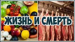 Морковке тоже больно! Так что ешь мясо спокойно! А мозги есть? Фролов Ю.А.