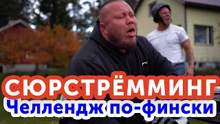 Cюрстрёмминг. Дегустация. Самое лучшее видео