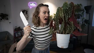 WHY YOU KEEP KILLING PLANTS | ADVICE FROM A SERIAL PLANT MURDERER