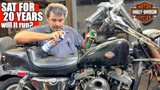 Will this $500 Dollar Sportster Run After Sitting for 20 years? | The Harley Davidson No One Wants