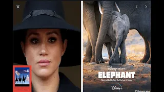 Meghan Markle's ELEPHANT Documentary PANNED by Critics? Playing Card Divination