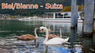 Biel/Bienne - Conociendo Suiza Vlogs Cap. 6