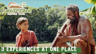 3 Experiences at One Place | Rainforestation Nature Park | Kuranda | Queensland