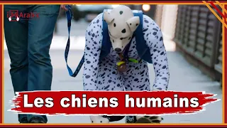 Le phénomène des chiens humains en Europe