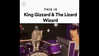 king gizzard spotify meme