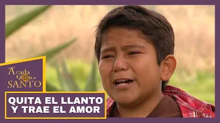 Quita el llanto y trae el amor | A Cada Quien Su Santo