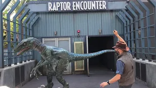 Raptor Encounter BLUE and BABY DINOSAURS at Universal Studios Hollywood