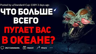 ЧТО САМОЕ СТРАШНОЕ В ОКЕАНЕ? 🐳