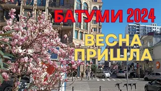 Отдых в Батуми 2024 | Весна пришла в Батуми. Видеообзор города,  цены на фрукты и овощи