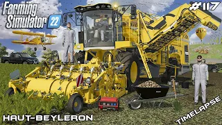 Harvesting SUGAR BEETS with ROPA | Animals on Haut-Beyleron | Farming Simulator 22 | Episode 117