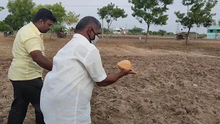 Finding ground water with coconut