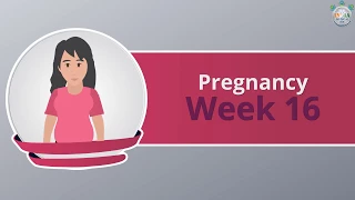 Safe Motherhood - 16th Week Pregnancy (Part 1)