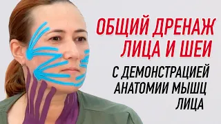 ✅ ОБЩИЙ ДРЕНАЖ ЛИЦА И ШЕИ С ДЕМОНСТРАЦИЕЙ АНАТОМИИ МЫШЦ ЛИЦА | Валентин Гайт| Учебный центр BBALANCE