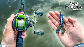 Pond Bass LOVE This New Craw Lure! ("100 Ponds" Ep. 31)