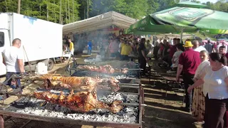 Najbolje pečenje, korida i teferič kod Samira!