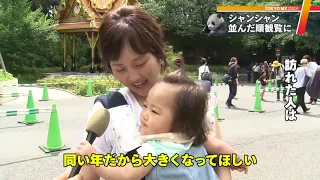 シャンシャンもうすぐ1歳…先着順で観覧に　東京・上野動物園