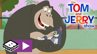 The Tom & Jerry Show | Baby Gorilla | Boomerang UK 🇬🇧