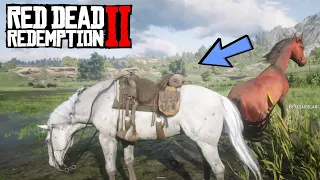 Самая редкая новая лошадь в RDR 2 | Аппалуза малопятнистая