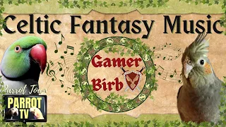 Gamer Birb | Celtic Medieval Fantasy Music Mix for Birds | Parrot TV for Your Bird Room🍀