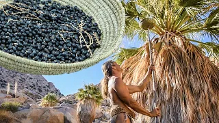 Primitive Tools to Harvest Palm Fruit