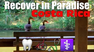 Costa Rica- Recover in Paradise Dental Surgery HERE for NO Extra Charge 🦷 Root Canal Implants