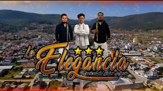 Zochipitzahuatl - La Elegancia Musical