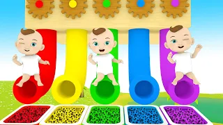 Bingo Song + Baby shark - Learn Vehicle names and color slide play -  Nursery Rhymes & Baby Songs