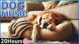 20 hours of music for dogs when going out｜Dog favorite Music🦮🎵Separation anxiety music