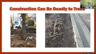 Trees and Construction