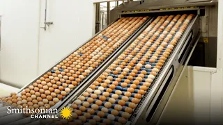 We Can’t Stop Watching This Egg Separator in Action | Inside The Factory | Smithsonian Channel