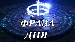 ФРАЗА ДНЯ (день 00075) На Руси, слава богу, дураков лет на сто припасено