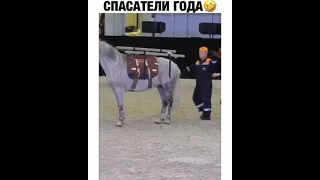 спасатели года/ достучались