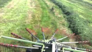 Raking together 2nd cut silage for round baling. Claas Liner 430 S rake, New Holland TM140 tractor.