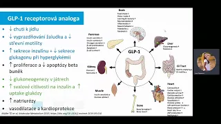 Neinzulínová antidiabetika v roce 2022