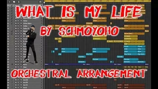 What Is My Life (Schmoyoho) | Orchestral Arrangement #14