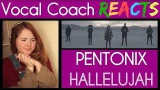 Vocal Coach reacts to Pentatonix singing Hallelujah